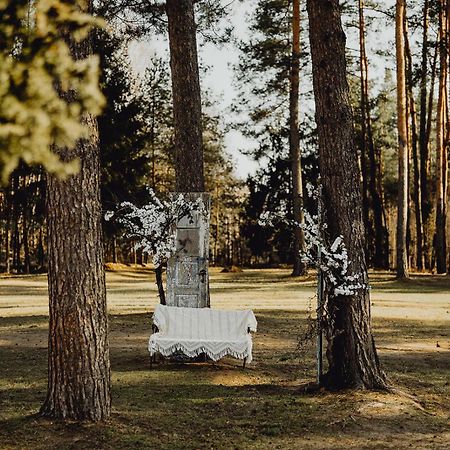 Chutor Nad Narwia Bed & Breakfast Ploski Eksteriør bilde
